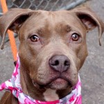 GONE 04/01/15 MICHELLE – A1030983