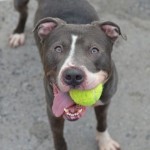 TUCK – A1042681