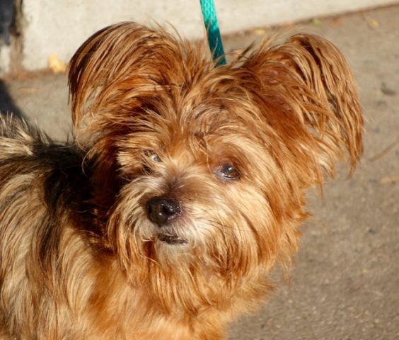 WILMA - A1058847